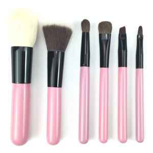 Portátil Pink 6 PCS maquillaje